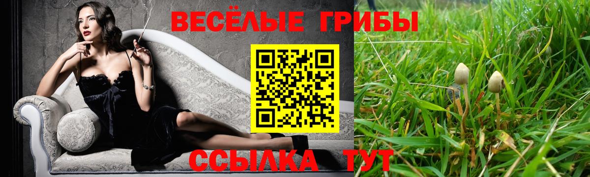 Галлюциногенные грибы ЛСД Обь