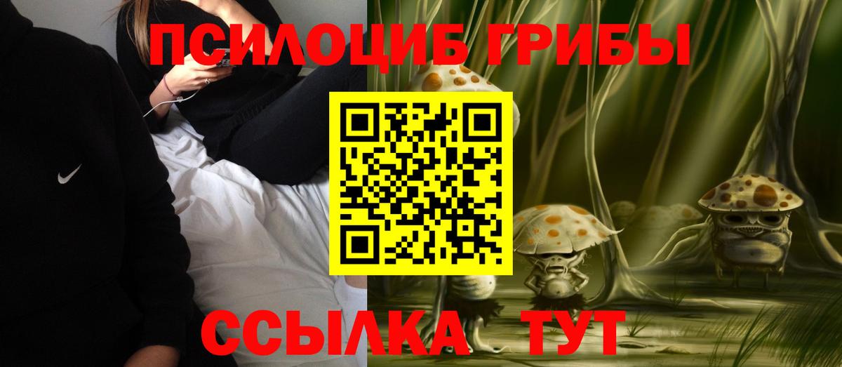 Обь  Псилоцибиновые грибы мухоморы  Вход с VPN 